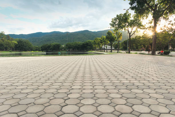 Best Decorative Driveway Pavers  in Newton, IL